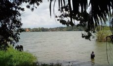 80 acres for sale in Bwerenga on Lake shore at 250m each