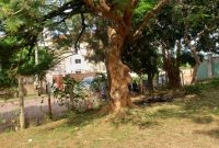 Commercial plot of land for sale in Munyonyo 25 decimals at 700m