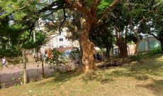 Commercial plot of land for sale in Munyonyo 25 decimals at 700m