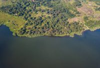 90 acres of lake shore land for sale in Kawuku at 250m each