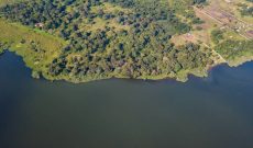 90 acres of lake shore land for sale in Kawuku at 250m each