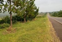 123 acres of land for sale in Busunju at 28m per acre