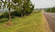 123 acres of land for sale in Busunju at 28m per acre