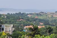5 acres for sale in Bwebajja with Lake view at 500m per acre