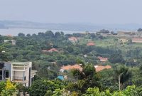 10.8 acres of lake view land for sale in Bwebajja at 350m per acre