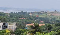 10.8 acres of lake view land for sale in Bwebajja at 350m per acre