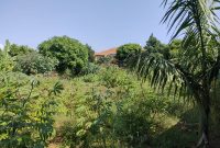 50 decimals of land for sale in Bunga Kalungu at 900m