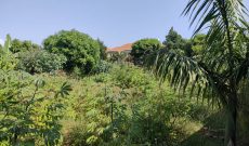 50 decimals of land for sale in Bunga Kalungu at 900m