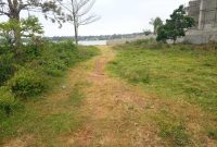 53 decimals of lake view land for sale in Garuga at 160m