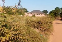 12 decimals plot of land for sale in Kisaasi Ddundu at 120m
