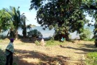 6 acre beach for sale in Bwerenga at 2.6 billion shillings