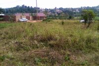 50x100ft plots for sale in Bukerere at 35m each
