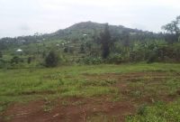 50x100ft plots of land for sale in Katende Masaka road at 10m