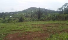 50x100ft plots of land for sale in Katende Masaka road at 10m