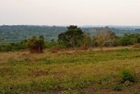 120 acres of land for sale Busunju at 25m per acre