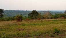 120 acres of land for sale Busunju at 25m per acre