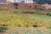 5 acres of commercial land for sale in Nantabulirwa Seeta at 450m each