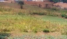 5 acres of commercial land for sale in Nantabulirwa Seeta at 450m each