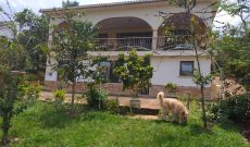 4 bedroom house for sale in Munyonyo on half acre at $1.1m