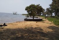 4 acres of lake shore land for sale in Bwerenga at 250m per acre
