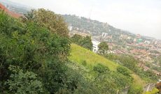 50 decimals plot of land for sale in Naguru at 650,000 USD