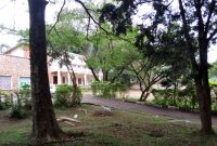 40 decimals property for sale in Kololo $1.2m