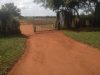 663-acres-of-farmland-for-sale-in-nakasongola-at-10m-per-acre