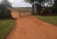 663 acres of farmland for sale in Nakasongola at 10m per acre