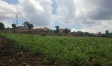 2 acres for sale in Kira Mulawa at 700m each