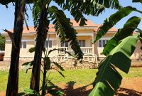 3 houses for sale in Kirinya Bukasa at 750m