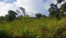 3 acres of land for sale on Seguku hill at 450m each