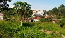 20 decimals plot of land for sale in Komamboga Kyanja at 100m