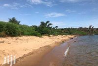 60 acres lake shore beachfront land for sale in Nkokonjeru Bubwa at 35m each