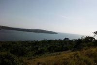 100 acres of lake shore land touching Lake Victoria for sale in Nkokonjeru at 20m each