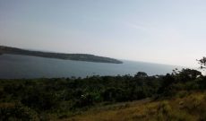 100 acres of lake shore land touching Lake Victoria for sale in Nkokonjeru at 20m each