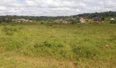5 acres for sale in Nakwero Gayaza at 250m per acre