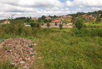 3 acres of land for sale in Nakwero Gayaza at 350m per acre