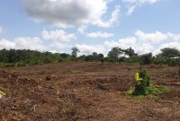 3 acres of land for sale in Nakasajja Gayaza at 120m each