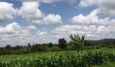 1.2 acres for sale in Nakasajja Gayaza at 200m