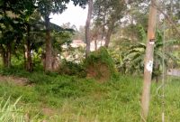 5.5 acres of land for sale in Kisaasi at 700m each