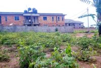 45 decimals for sale in Kira Nsasa at 230m