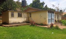 Half acre land for sale in Entebbe with an old house at 750m