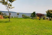4 acres of land for sale in Sazzi Kasanje at 260m each