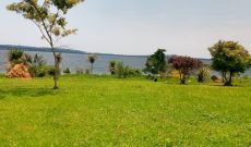 4 acres of land for sale in Sazzi Kasanje at 260m each