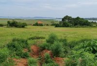 22 acres of lake view land for sale in Namulanda Entebbe road at 450m per acre