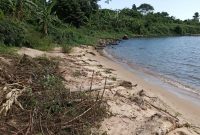 120 acres of lake shore land for sale in Buikwe Nkokonjeru at 25m per acre