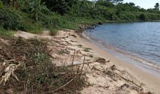 120 acres of lake shore land for sale in Buikwe Nkokonjeru at 25m per acre