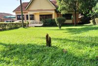 4 bedroom house for sale in Ntinda Kyambogo road at 850m