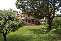 5 bedroom house for rent in Naguru at $4,000