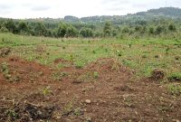 9 acres of land for sale in Namugongo Bukerere Namasiga at 110m per acre